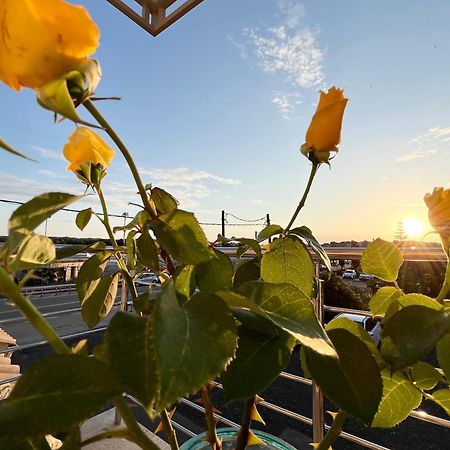 Corfu Airport Sweet Studio Екстериор снимка