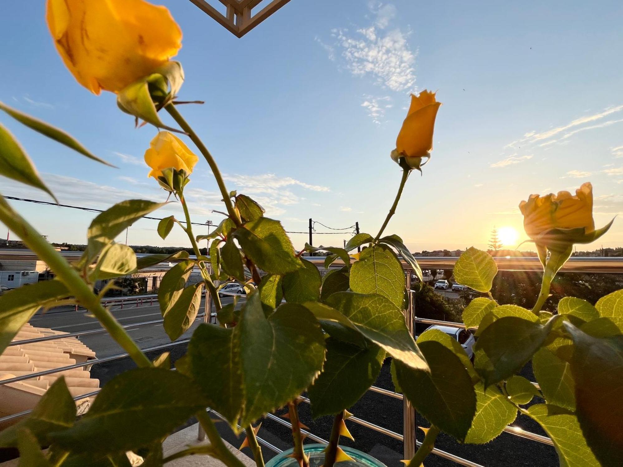 Corfu Airport Sweet Studio Екстериор снимка
